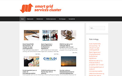 Smart Grid Services Cluster